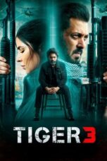 Nonton Streaming Download Film Tiger 3 (2023) Subtitle Indonesia Full Movie